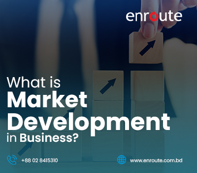 What is Market Development Strategy in Business